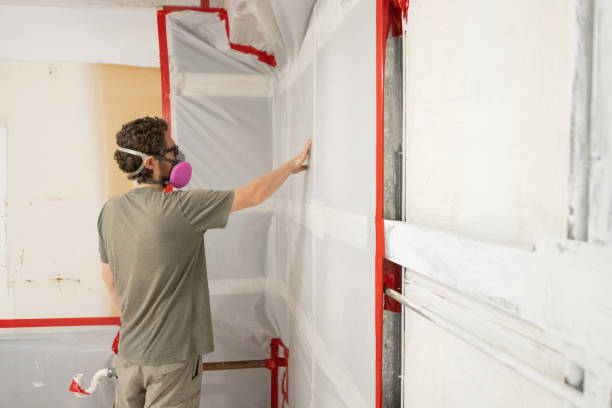 Best Attic Mold Removal  in Plattsmouth, NE