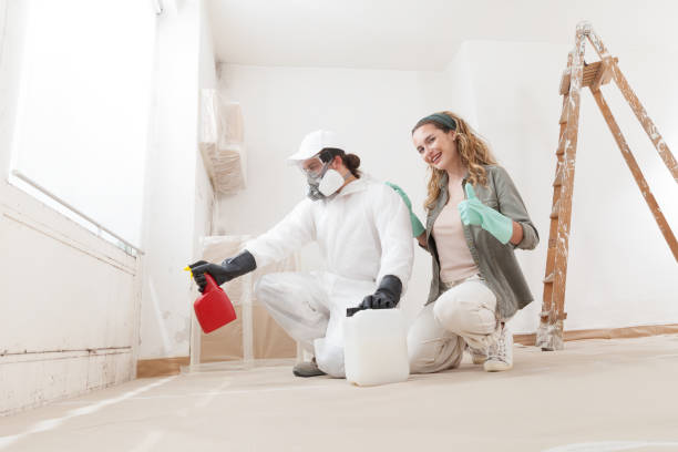 Best HVAC Mold Inspection and Cleaning  in Plattsmouth, NE