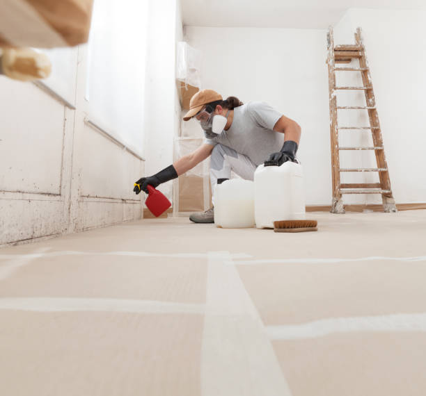 Mold Documentation for Insurance Claims in Plattsmouth, NE