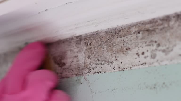 Mold Remediation for Rental Properties in Plattsmouth, NE